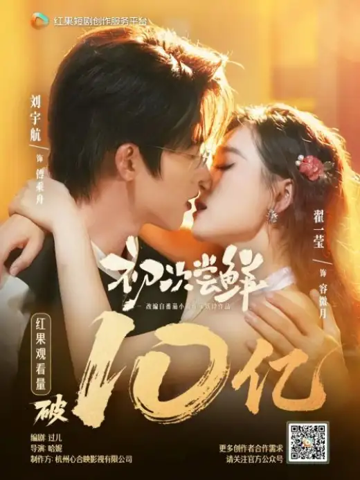 初次尝鲜 poster