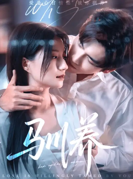 驯养 poster