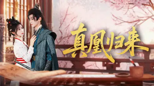 真凰归来 poster